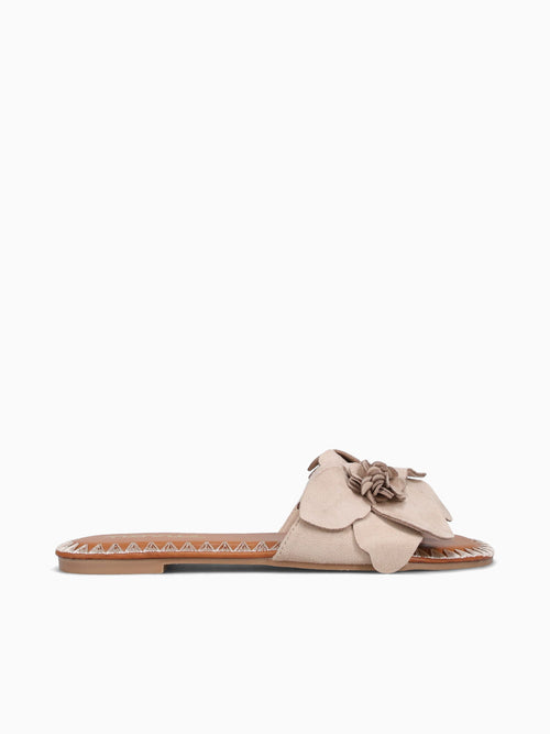 Dafne Beige Suede Beige / 5 / M