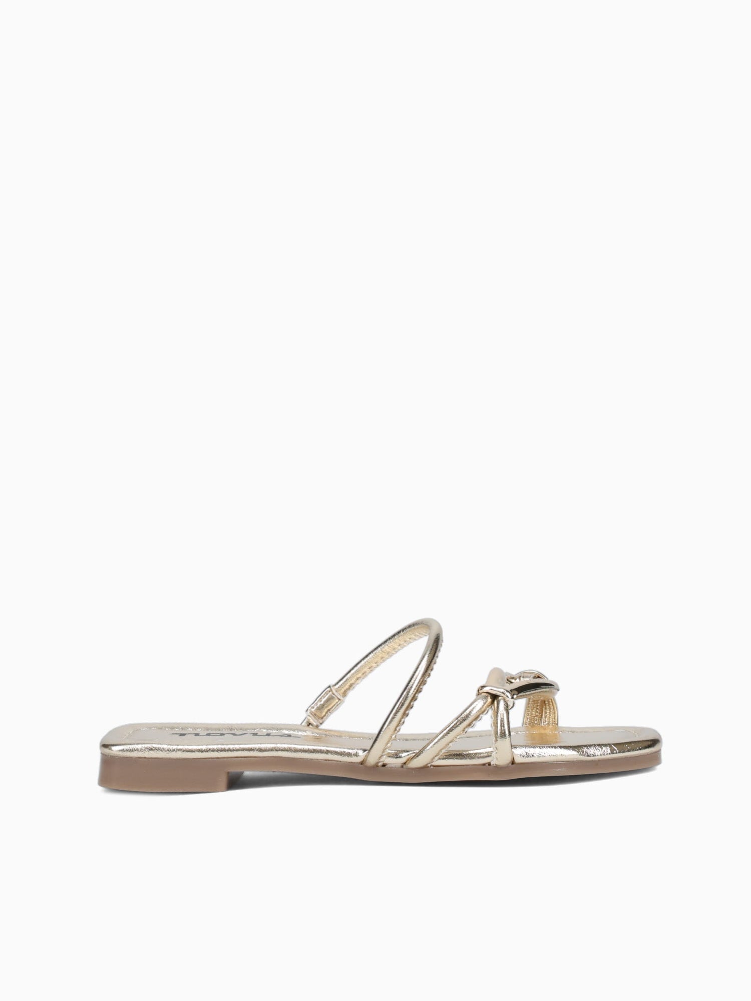 Paloma Oro Morgan Gold / 5 / M