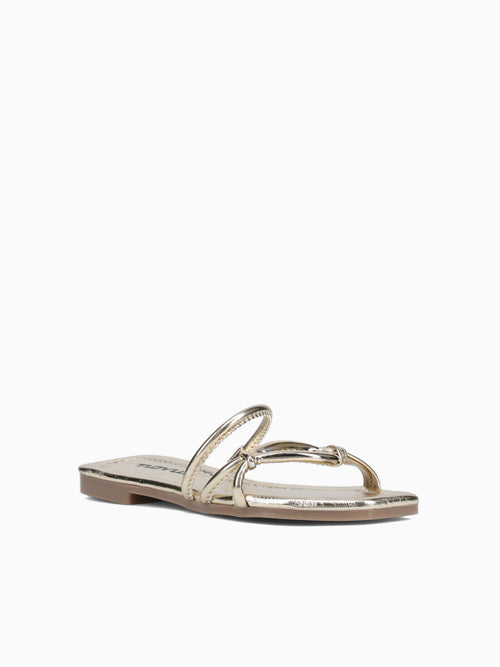 Paloma Oro Morgan Gold / 5 / M