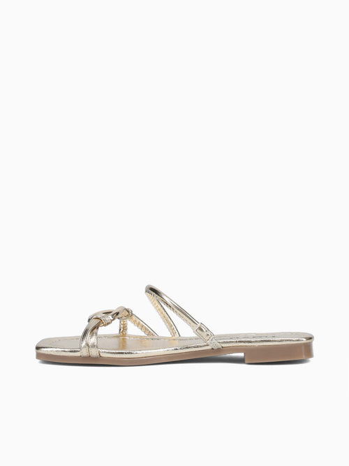 Paloma Oro Morgan Gold / 5 / M