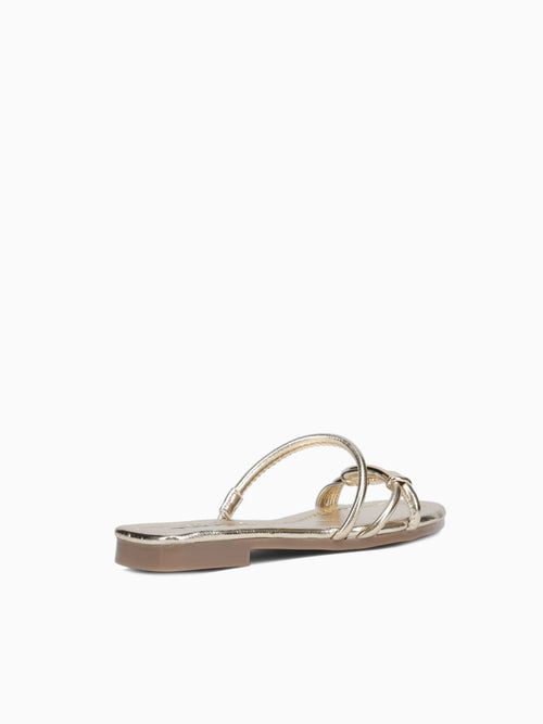Paloma Oro Morgan Gold / 5 / M