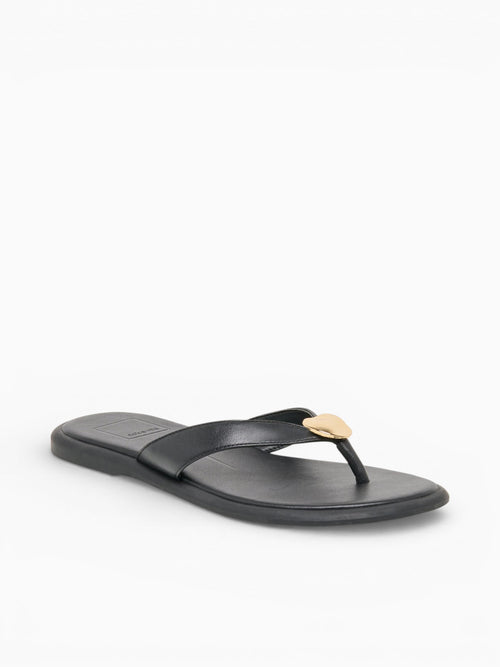 Jaina Dk Brown Suede Dark Brown / 6 / M
