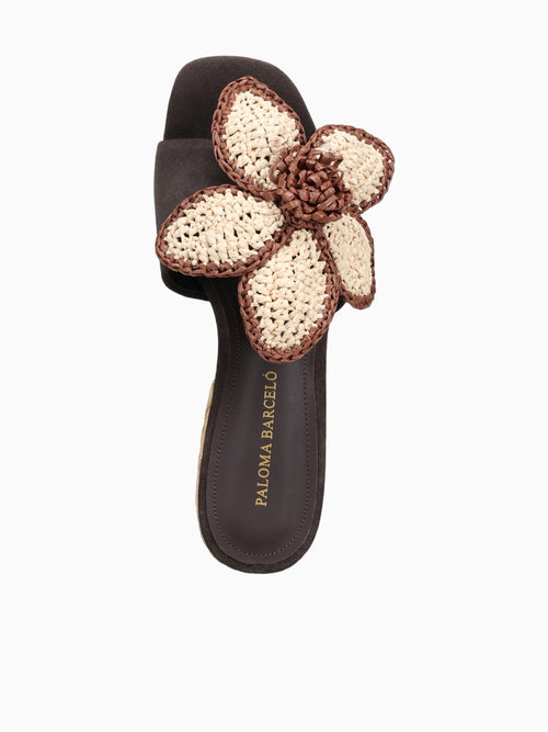 Dally Chocolate Suede Dark Brown / 36 / M