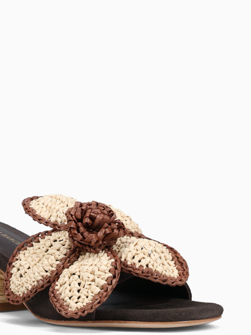 Dally Chocolate Suede Dark Brown / 36 / M