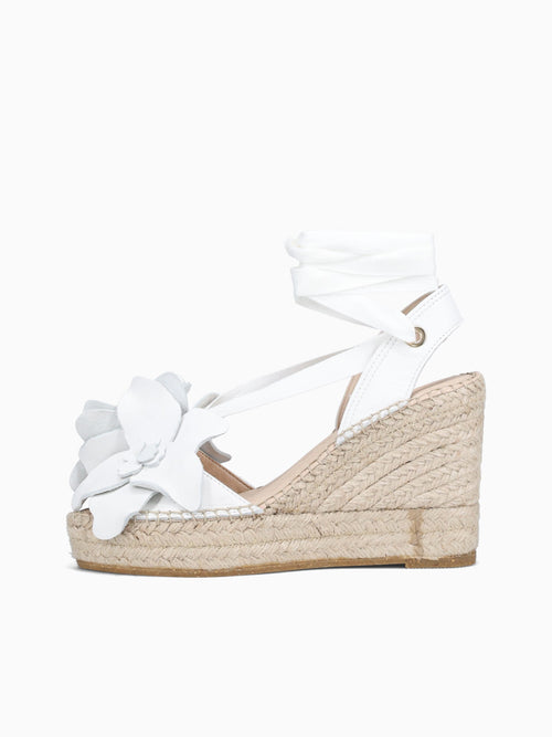 13360na7d Blanco White / 36 / M
