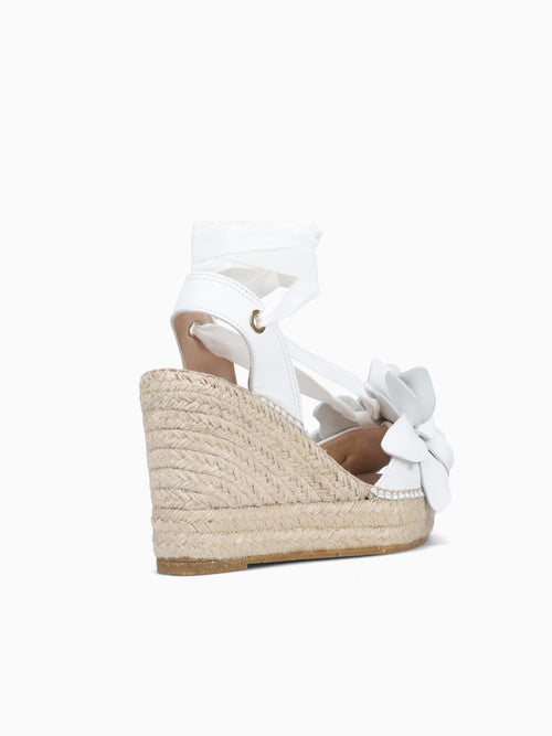 13360na7d Blanco White / 36 / M