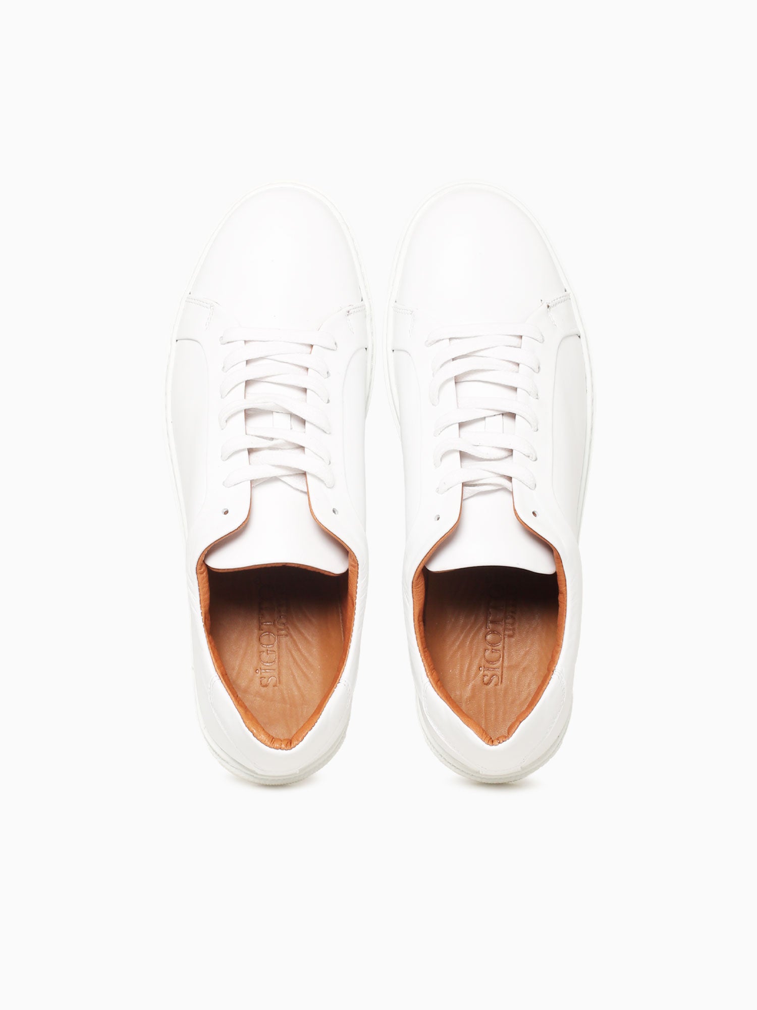Aslan White Analine Leather White / 41 / M
