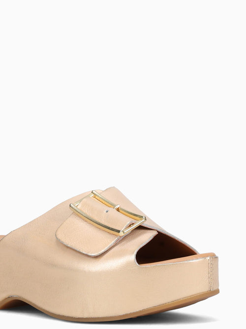 York Gold Leather Gold / 6 / M