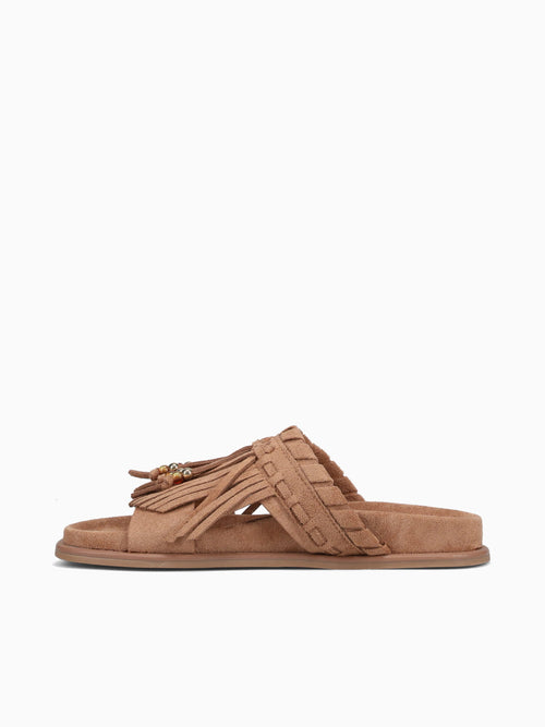 Haydee Camel Tan / 5 / M