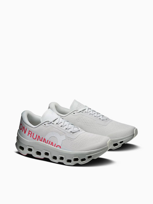 Cloudmonster 1 Silver Camelia mesh Silver / 5 / M