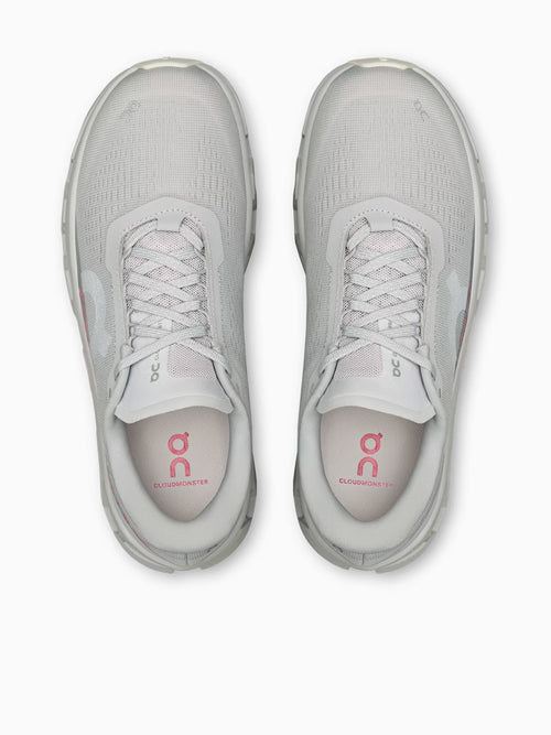 Cloudmonster 1 Silver Camelia mesh Silver / 5 / M