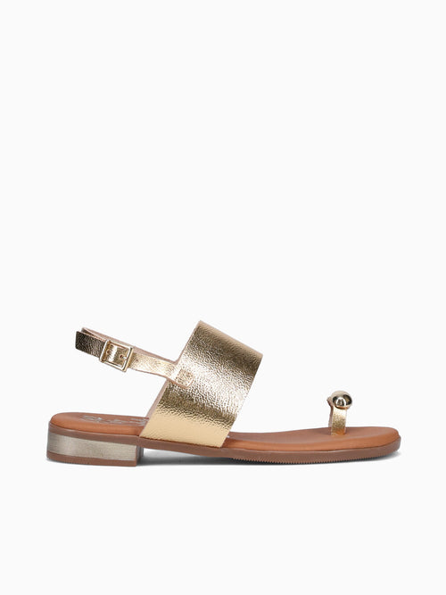 5862 Oro Duna Gold / 36 / M