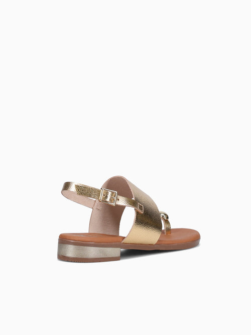 5862 Oro Duna Gold / 36 / M