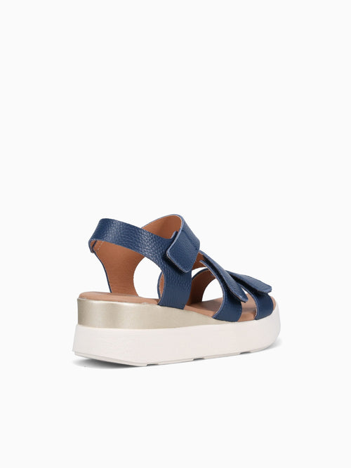 5964 Marino Cb Doya Navy / 36 / M