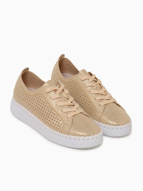 Amanda Gold Metal Micro Gold / 5 / M