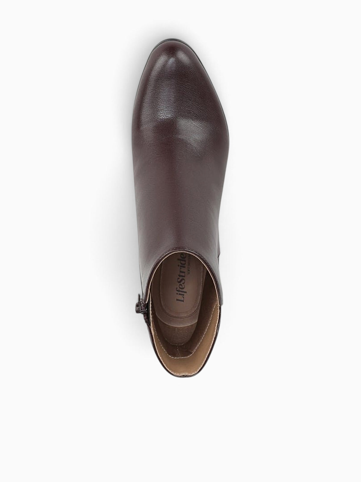 Eloise Chocolate Plum Smooth Wine / 5 / M