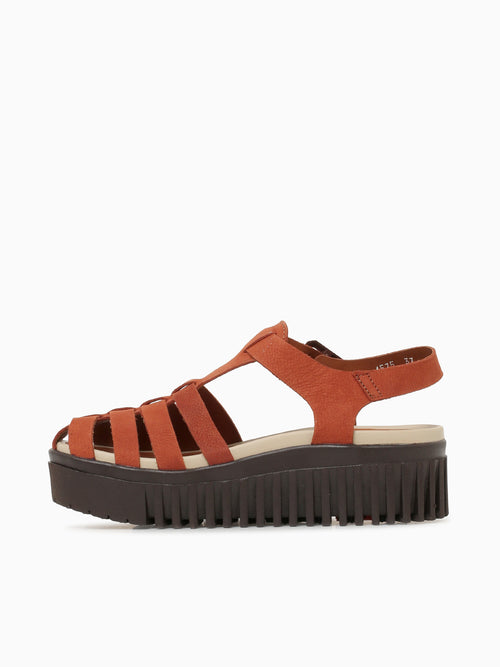 1575 D.orangebrown Brighton lea Dark Orange / 36 / M