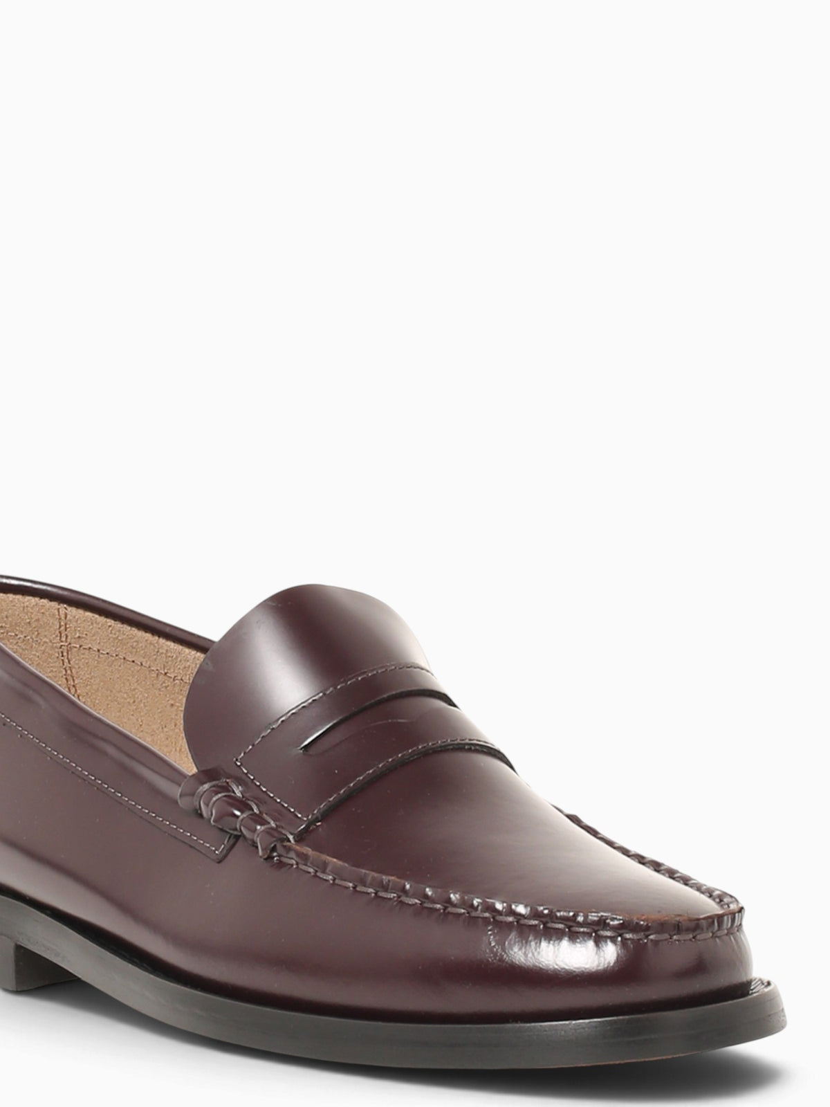 David Bordeaux Gloss Wine / 40 / M
