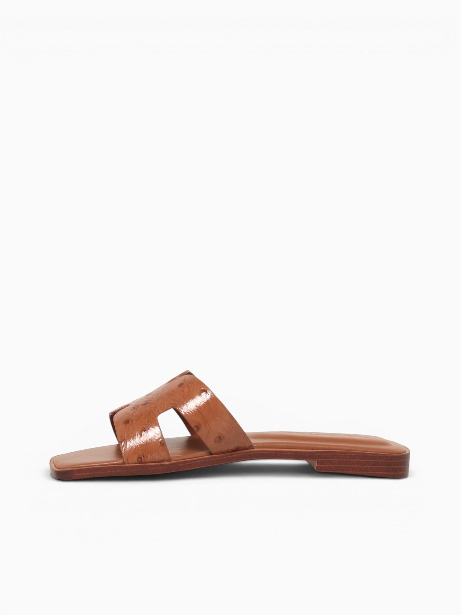 Dayness Tan Ostrich Print Leather Tan / 5 / M