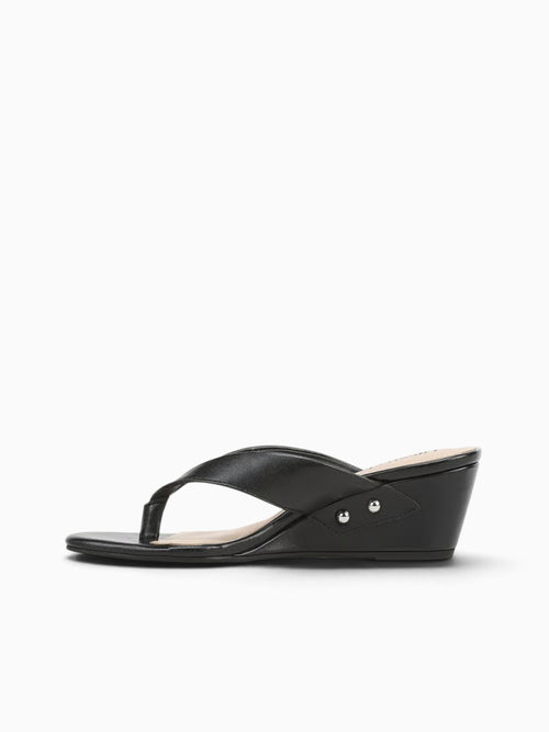 Stella Black Black / 5 / M