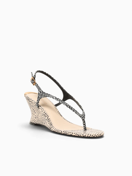 Dalma Black Panacota eco snake dots Black / 5 / M