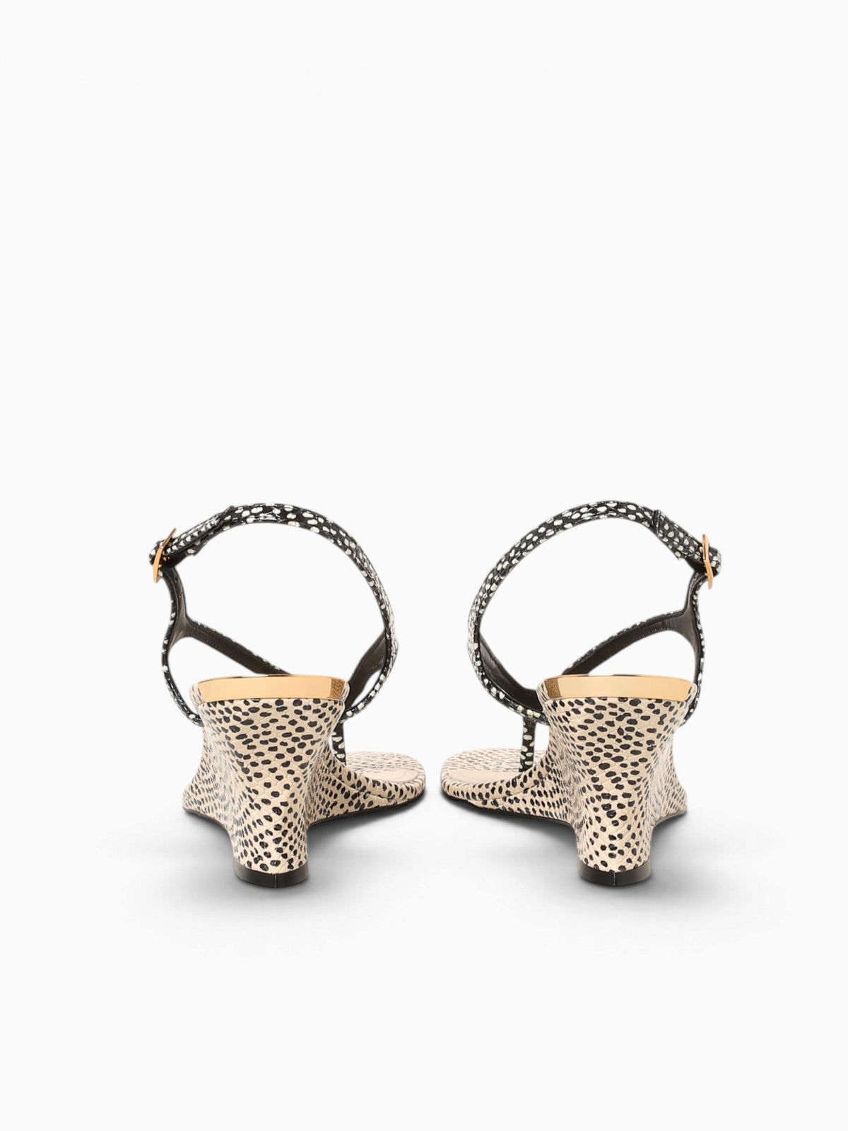 Dalma Black Panacota eco snake dots Black / 5 / M
