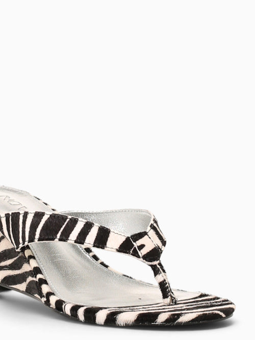 Lori Black White zebra Black White / 5 / M
