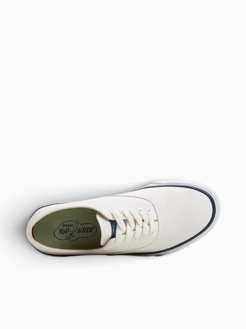 Classic Cvo White Cotton Twill White / 6 / M