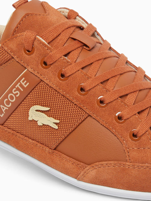 Chaymon Brw Wht leather Brown / 8 / M