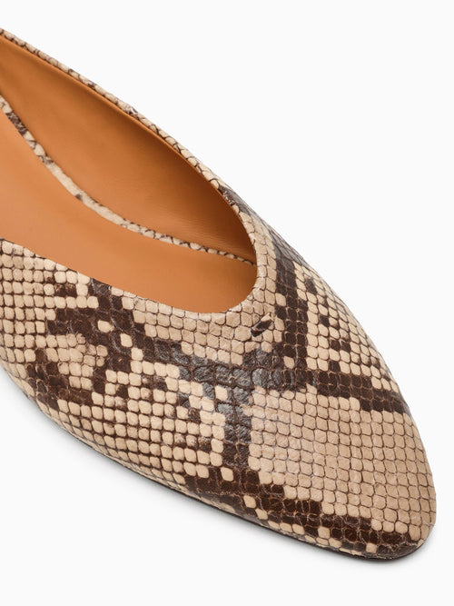 Sherman Snake Leather Brown Multi / 6 / M