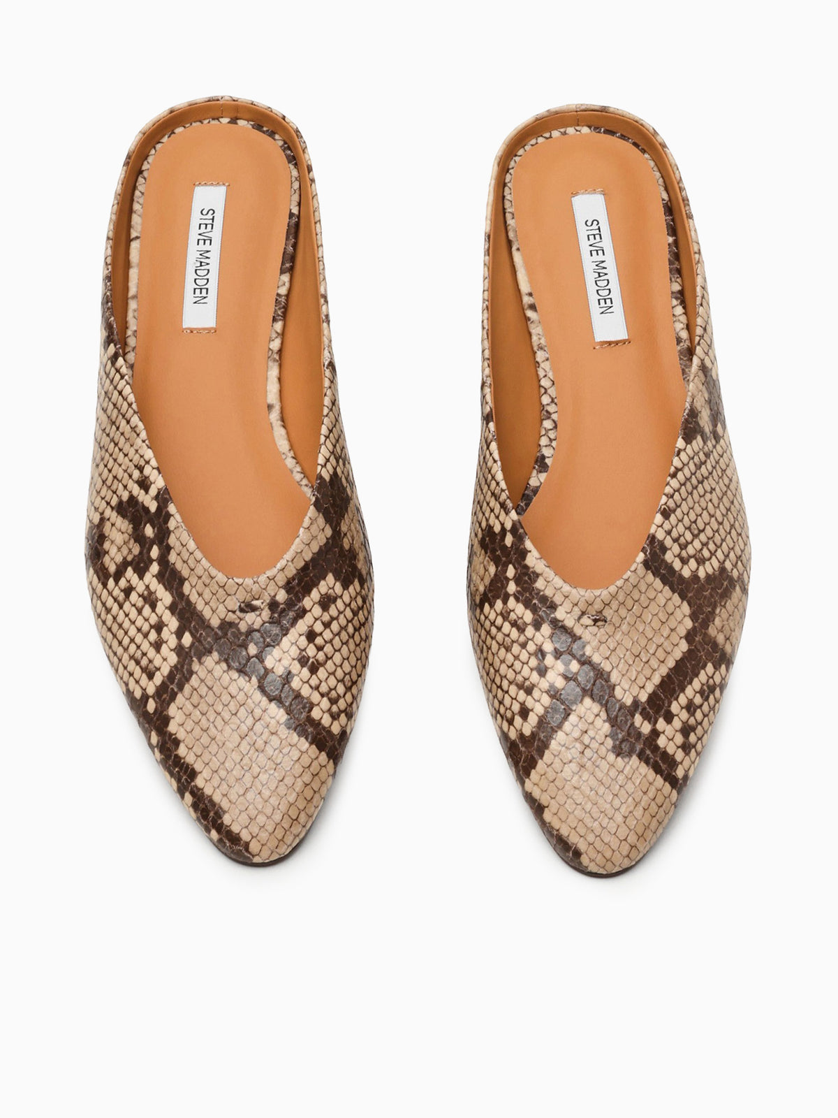 Sherman Snake Leather Brown Multi / 6 / M