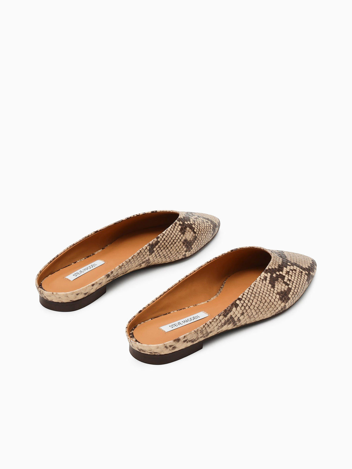 Sherman Snake Leather Brown Multi / 6 / M