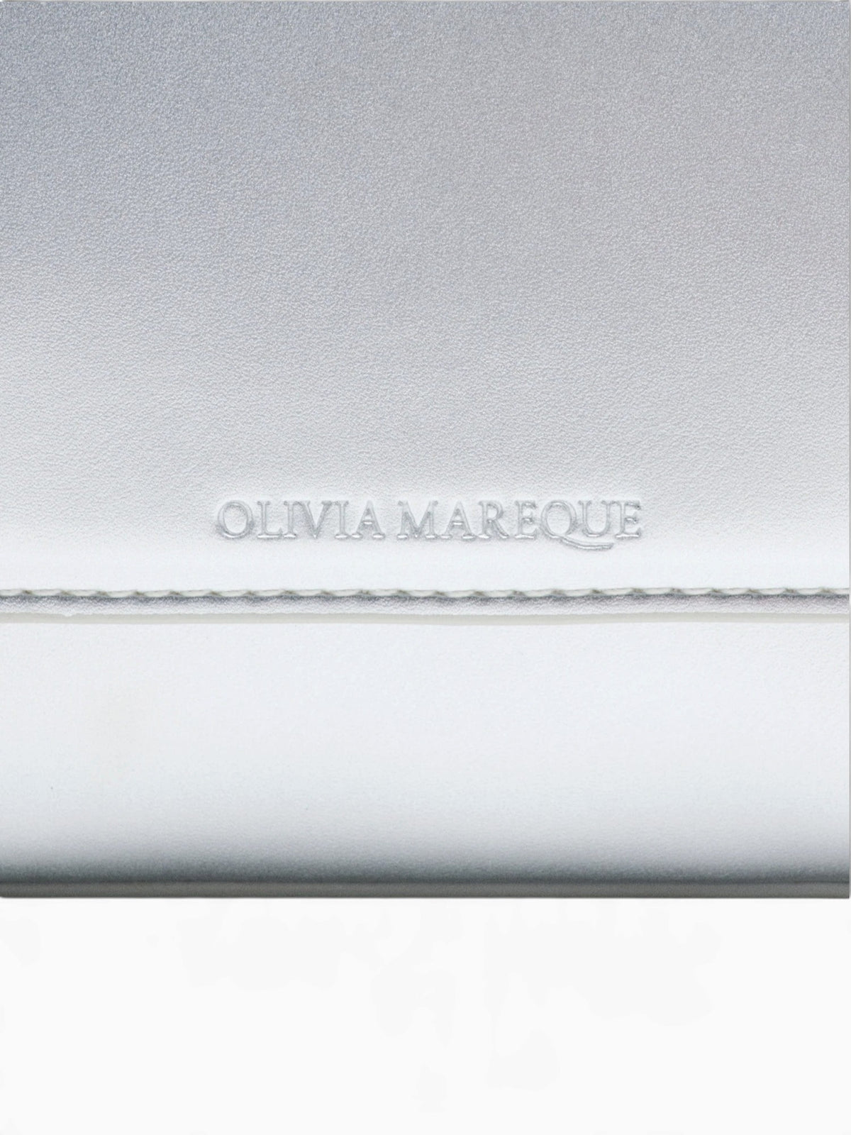 Pantone Crossbody Silver Silver