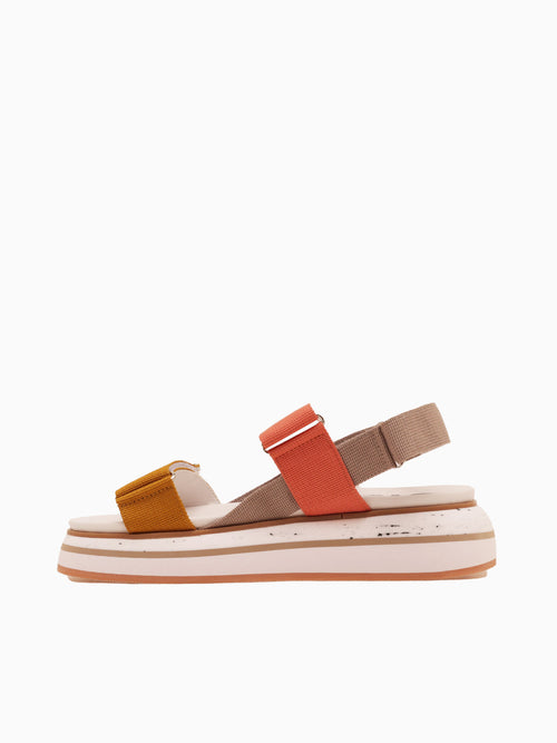 Glendora 66042 Multicolor Multi / 36 / M