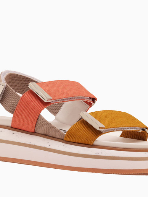 Glendora 66042 Multicolor Multi / 36 / M