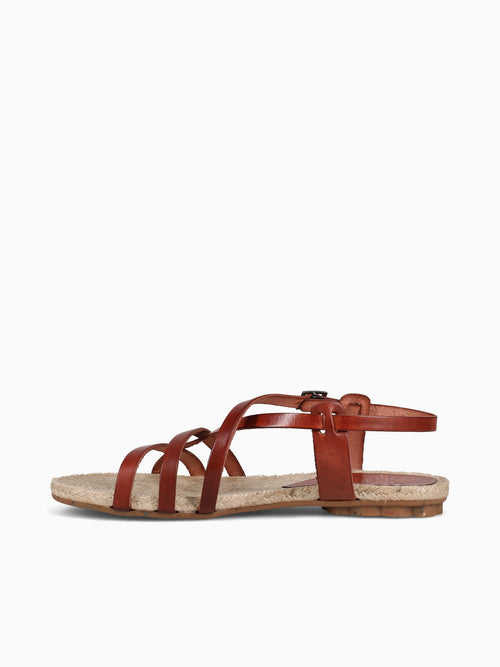 2800 Brown Vaqueta Leather Brown / 36 / M