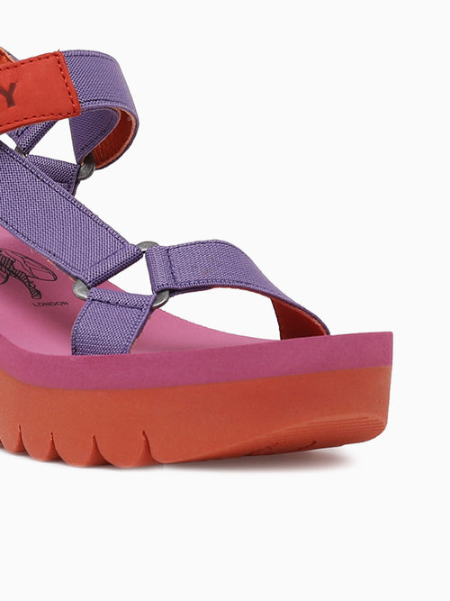 Yefa726fly Violet Orange cupido Purple / 36 / M