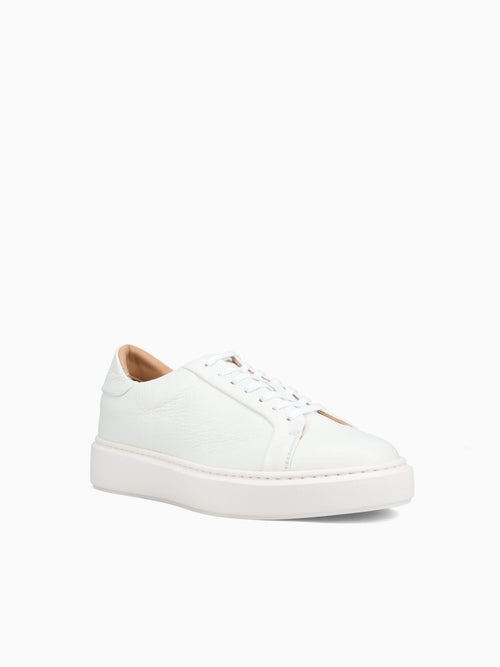 Barolo Sneaker Milk Dear Cervo Off White / 40 / M