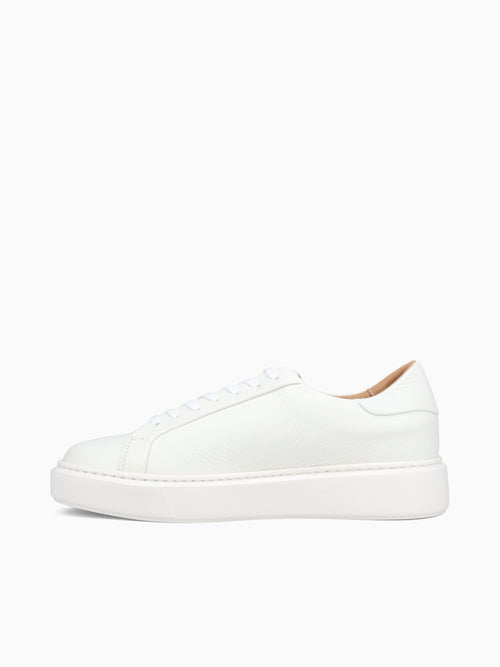 Barolo Sneaker Milk Dear Cervo Off White / 40 / M