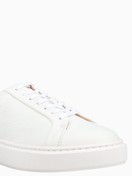 Barolo Sneaker Milk Dear Cervo Off White / 40 / M