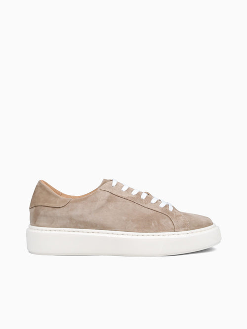 Barolo Sneaker Taupe Water Suede Taupe / 40 / M