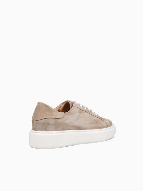 Barolo Sneaker Taupe Water Suede Taupe / 40 / M