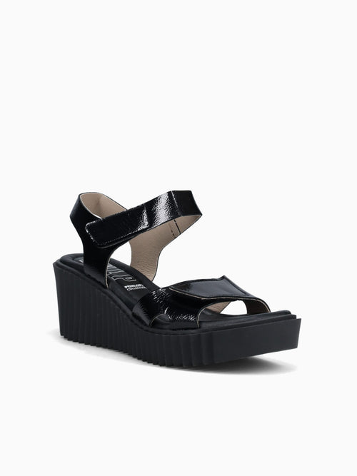 6281 Negro Naplak Leather Black / 36 / M