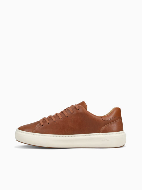 Anders Lacetotoe Tan Leather Tan / 7 / M