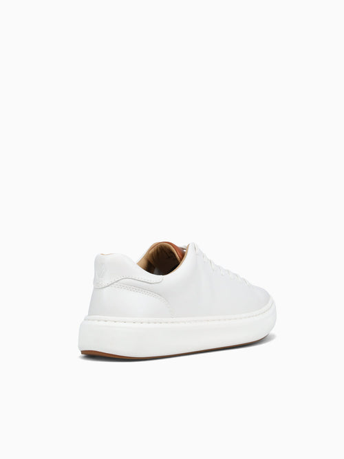 Anders Lacetotoe White Leather White / 7 / M