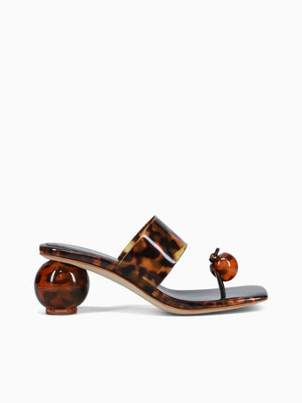 Latus Tortoise Vinyl Brown Multi / 5 / M