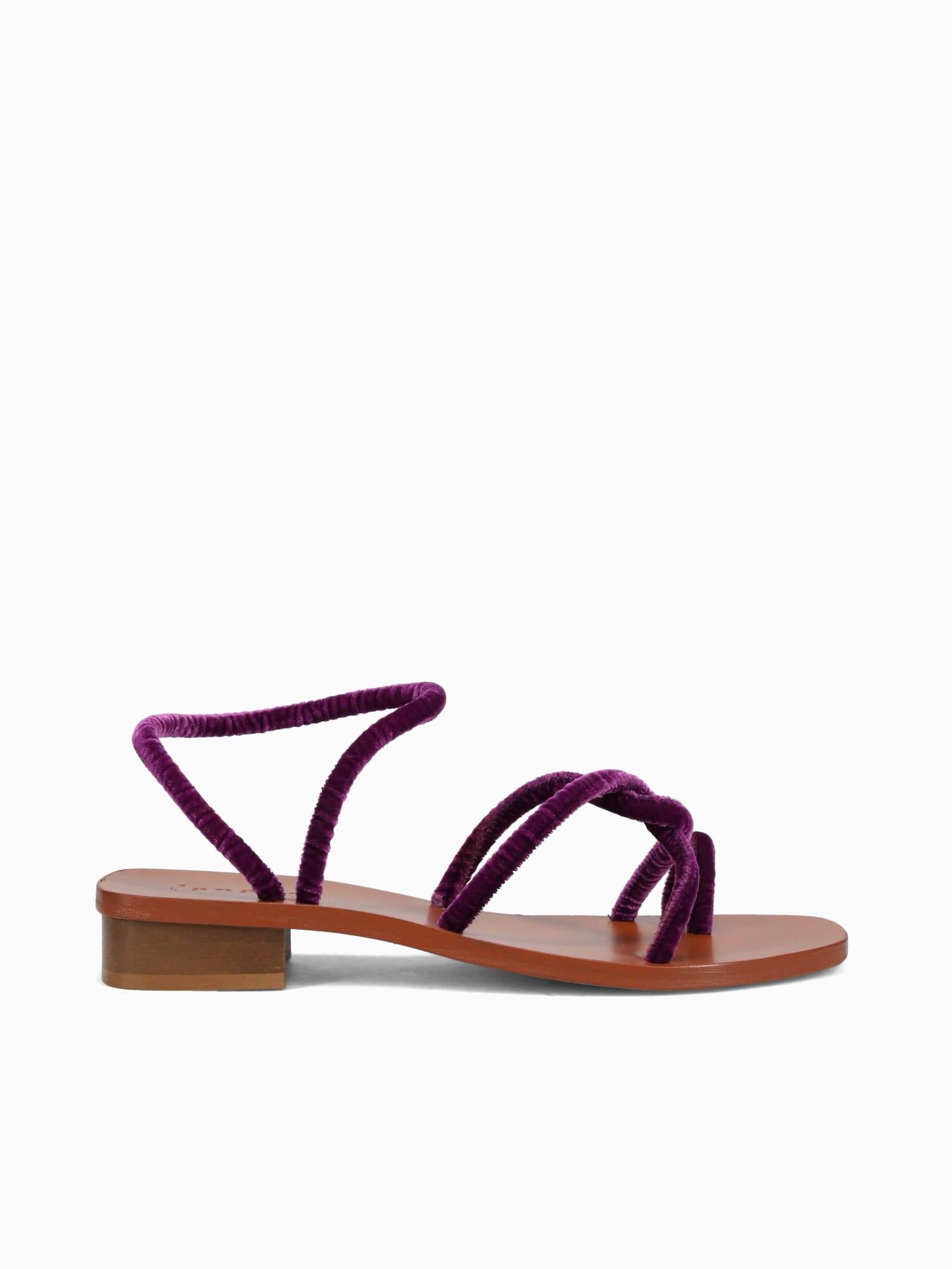 Monte Tacco Viola Velvet Purple / 36 / M