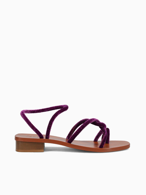 Monte Tacco Viola Velvet Purple / 36 / M