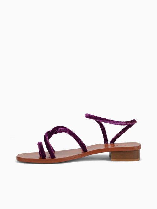 Monte Tacco Viola Velvet Purple / 36 / M