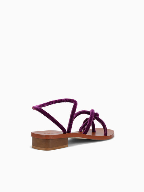 Monte Tacco Viola Velvet Purple / 36 / M
